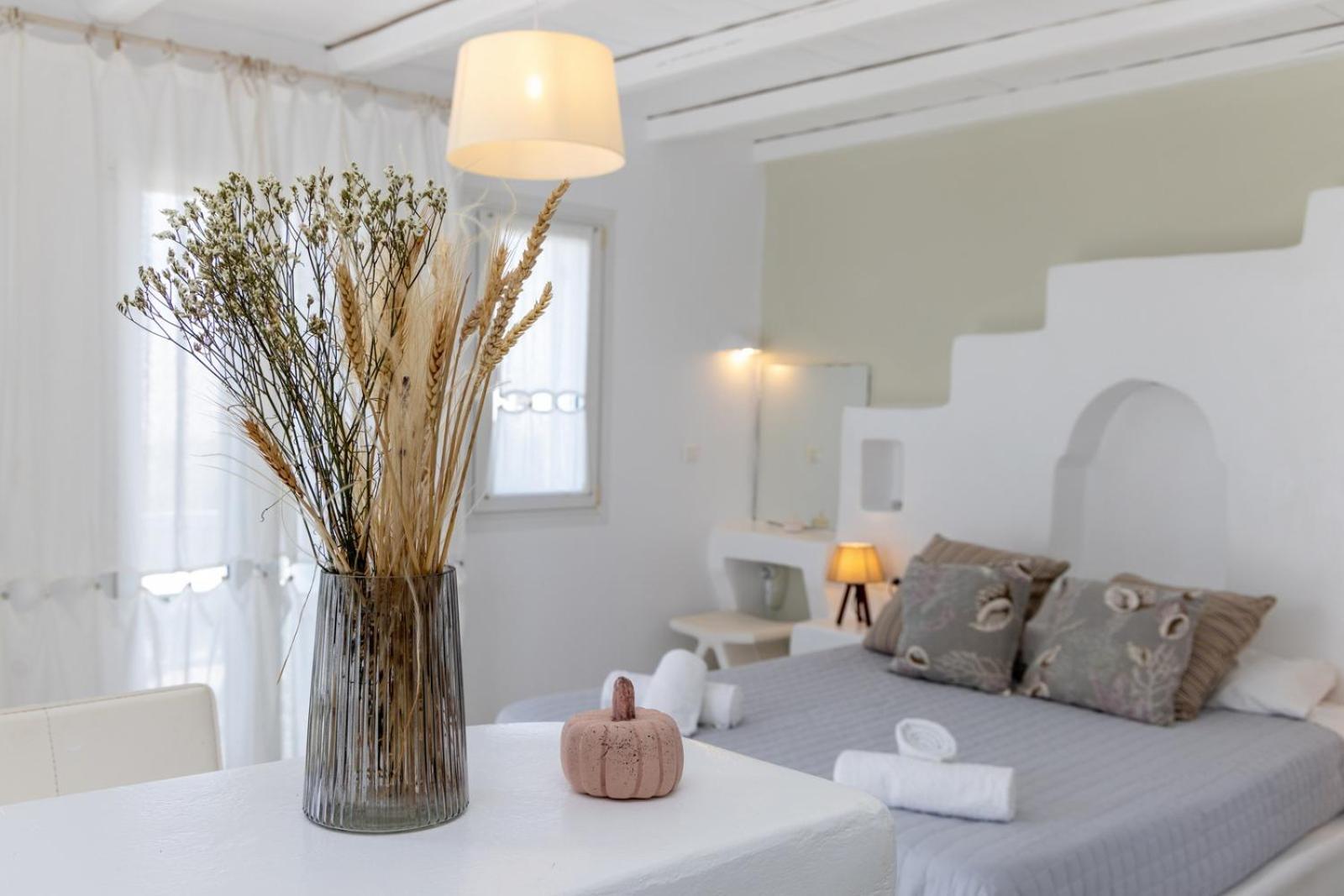 Soulmate'S Suites Tinos 基奥尼亚 外观 照片